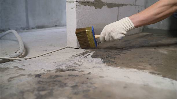 24/7 Emergency Waterproofing experts in Arcadia, SC
